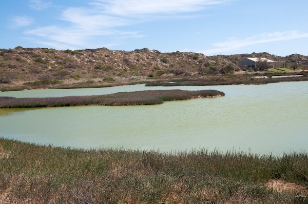 AustraliaPerth 10  088